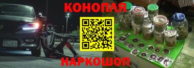 мяу мяу мука Тара